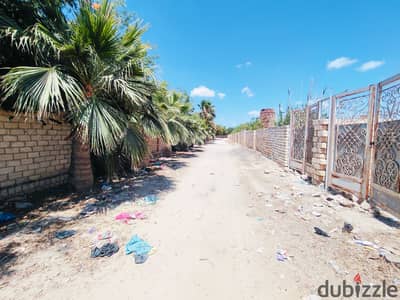 Very special land for sale in King Mariout