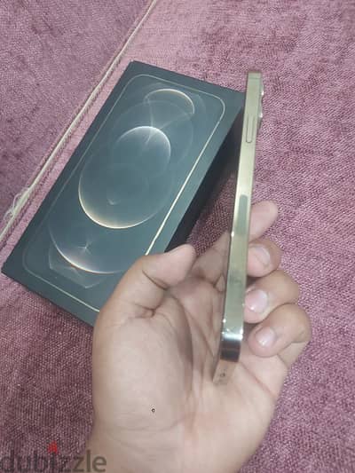 آبل - آيفون 12 برو ماكس