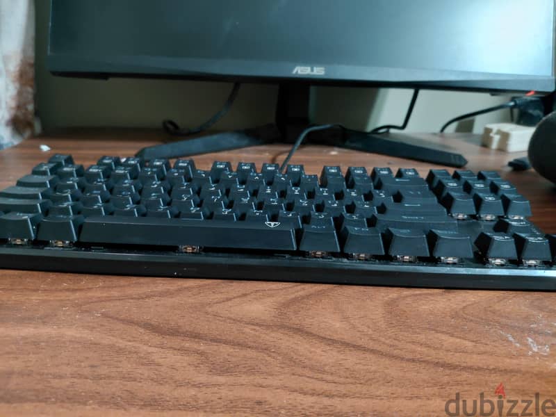 t-dagger bora 1