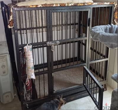 Iron cage