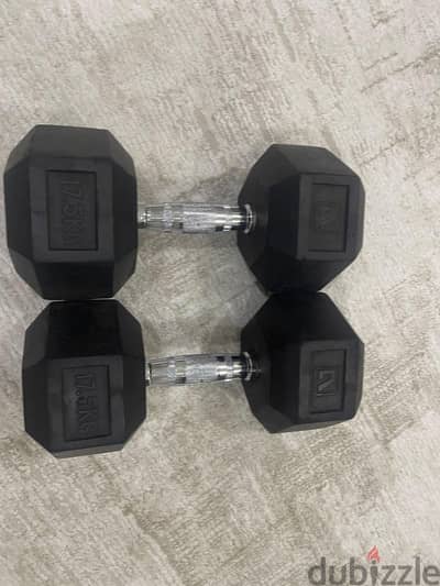 2 dumbells each 17.5 kg