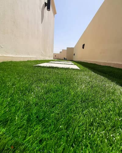 القاهره
