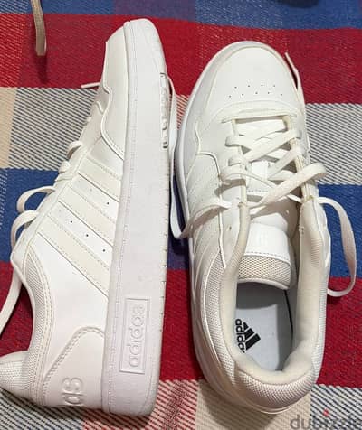 Adidas Hoops 3.0 low classic vintage shoes.