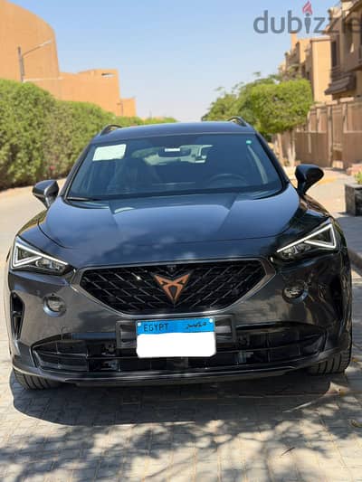 كوبرا فورمينتور 2024