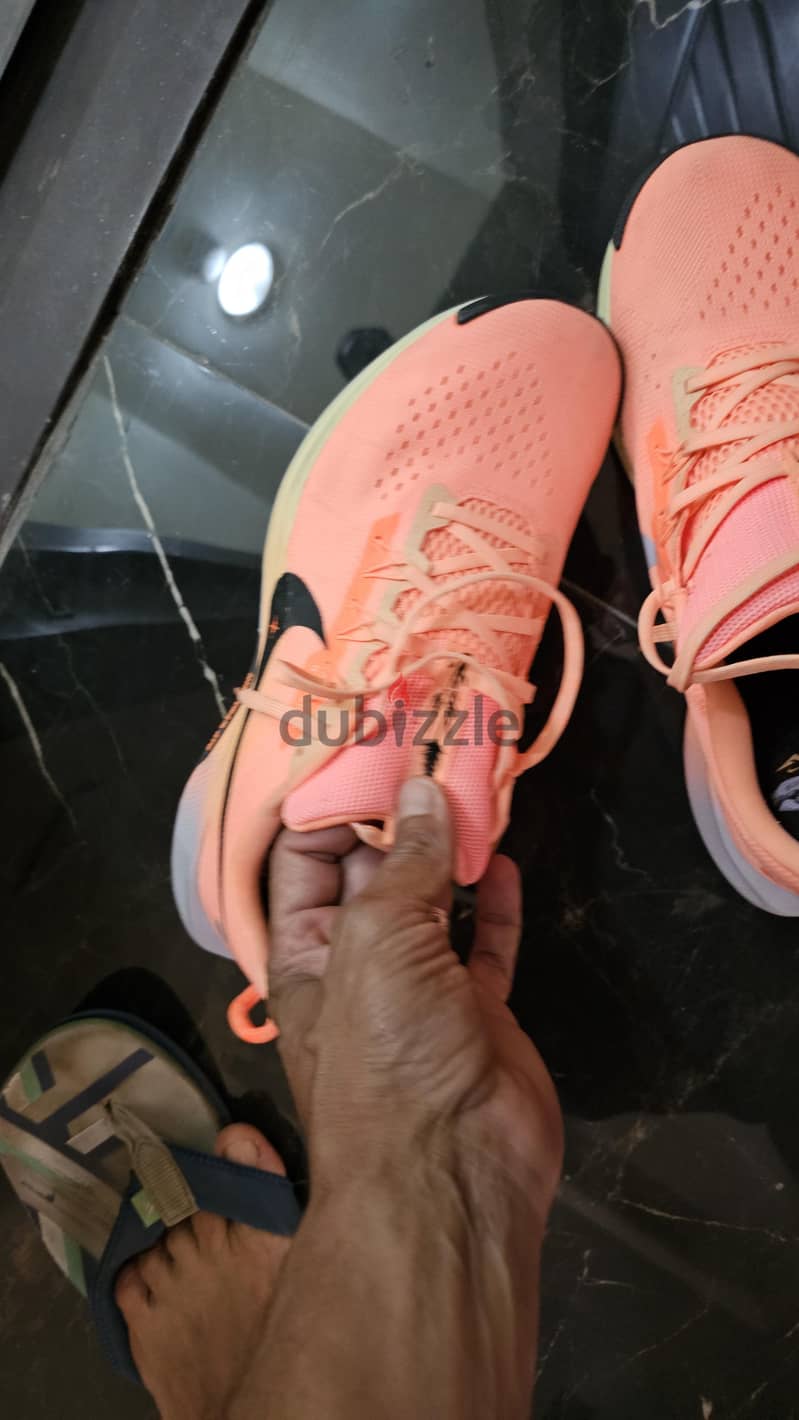 Nike Pegasus Trail 5 1