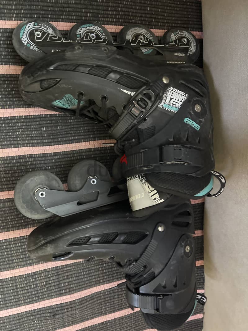 Skate cougar 1