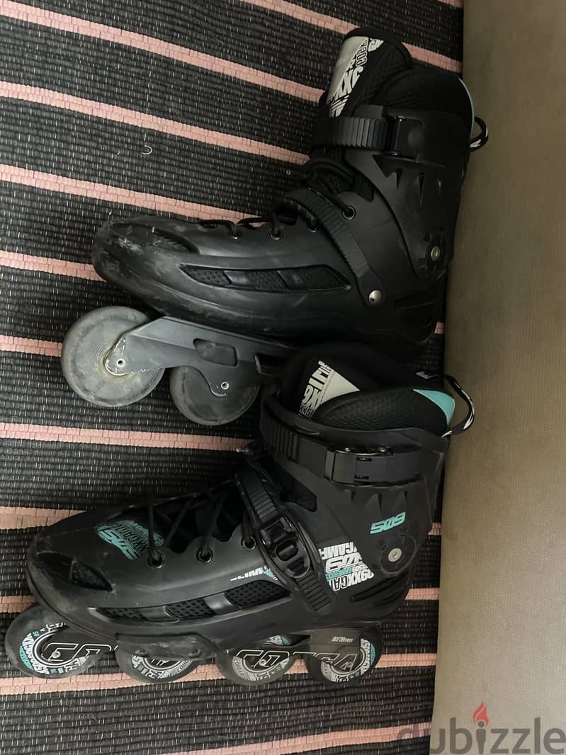 Skate cougar 2