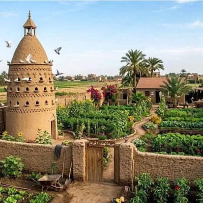 قطعه ارض للبيع 20 فدان استلام فوري