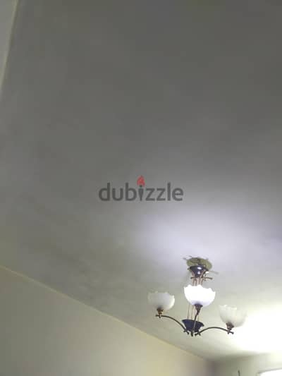 نجفة  للبيع