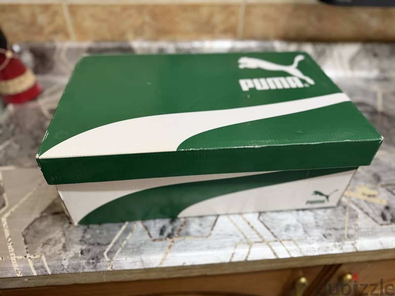 Puma city rider electric 4