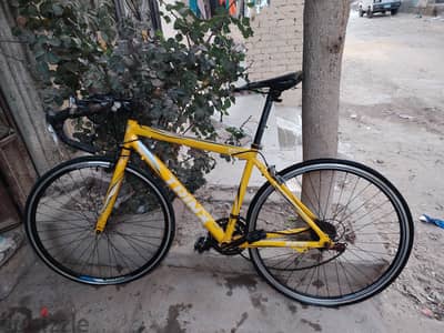 trinx R300