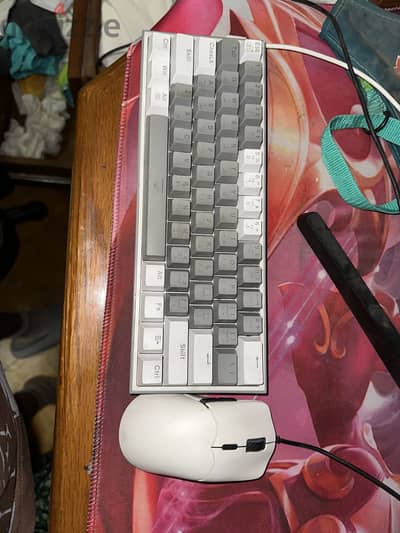 Redragon k617 fizz 60% rgb with zioli m80 moise