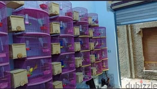 مطلوب  سلاكات كوكتيل  نضيفه تنفيذ وقتي