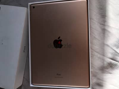 Ibad 8