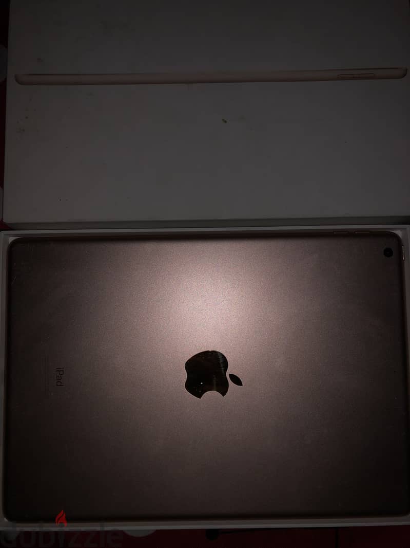 Ibad 8 1