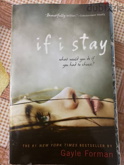 If I stay book