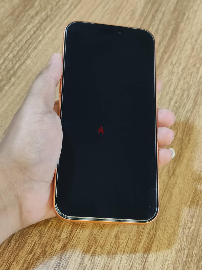 iPhone 17 Pro Max 1