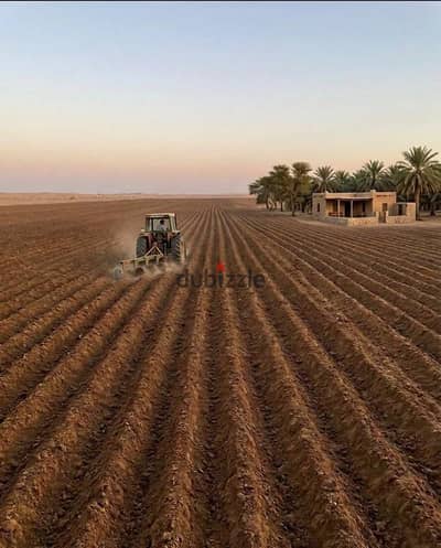 Farm for sale in a residential agricultural compound