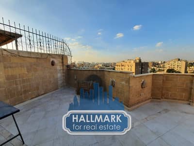 Furnished Roof Top with Terrace In Maadi Degla