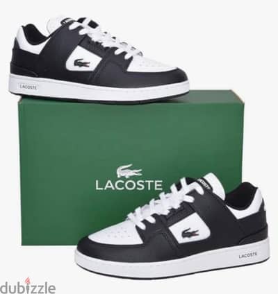 Lacoste sneaker with box new