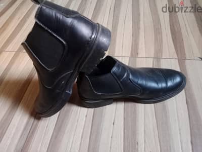 الدقي