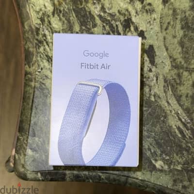 Google Fitbit air