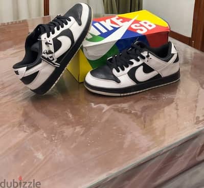 Nike sb