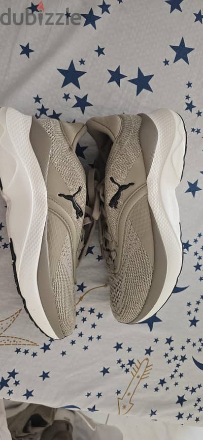 للبيع حذاء PUMA Original (بوما أصلي) – جديد تمامًا