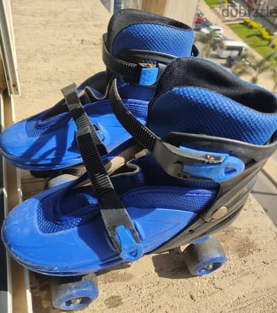 Blue Roller Skates