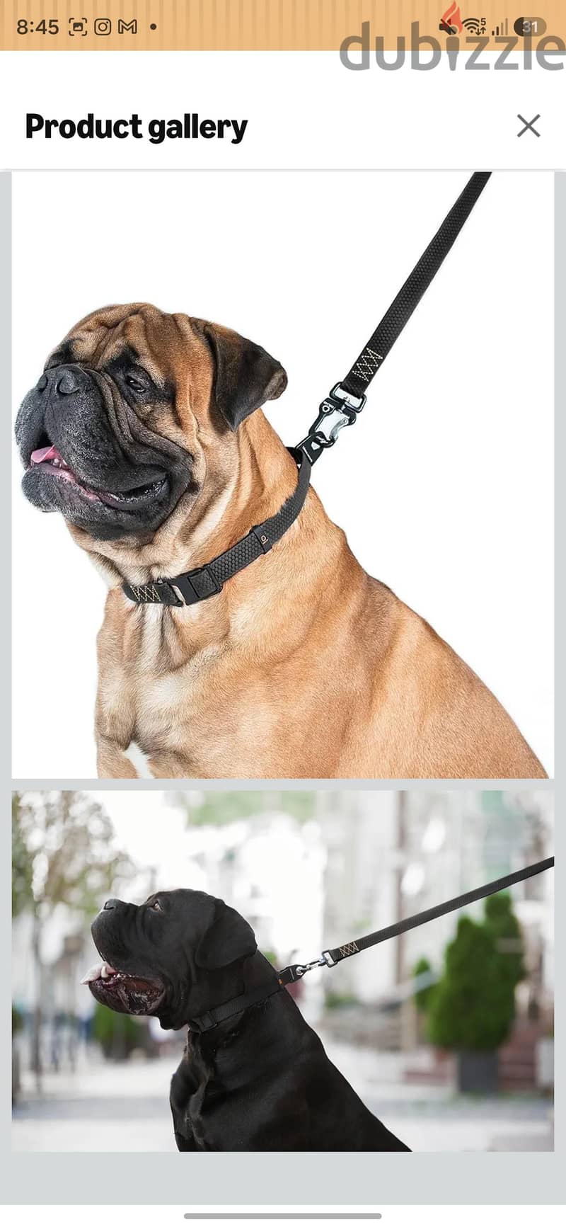 Original COLLAR EVOLUTOR Dog Leash 3m - Like New 4