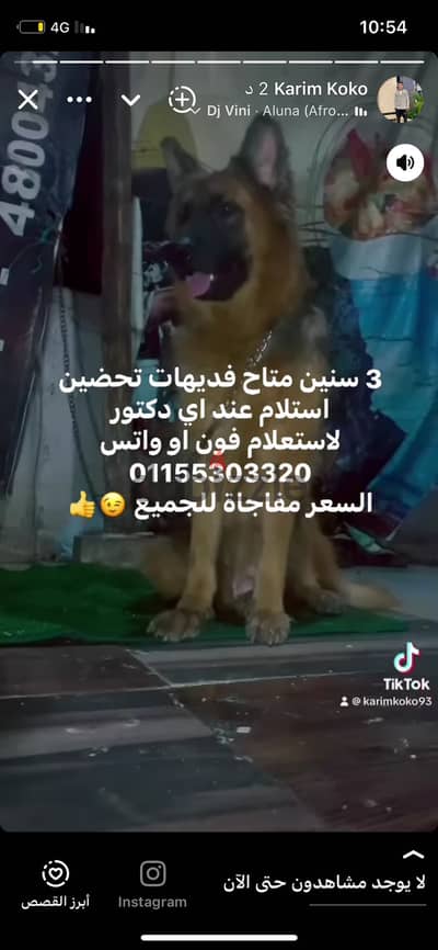 للبيع