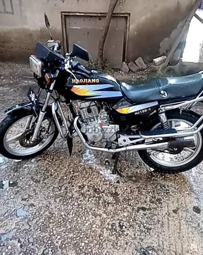 هوجن 4 جامبو استيراد