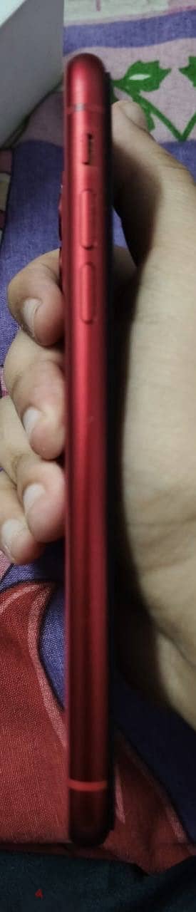 iPhone 11 3