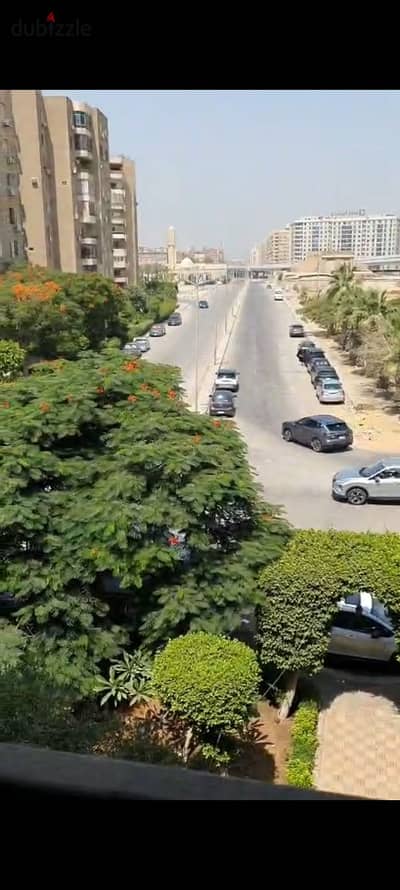 زهراء المعادي شارع الزهراء الرئيسي