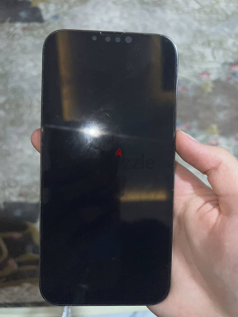 Apple - iPhone 13 Pro Max 1