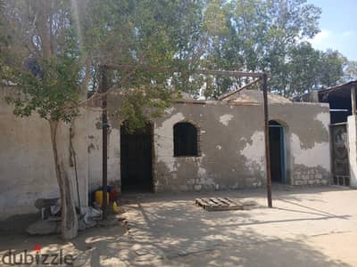5-acre farm Ismailia Road