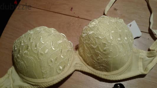 8 Bras from usa