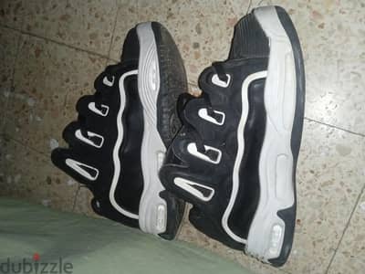 كوتش D3