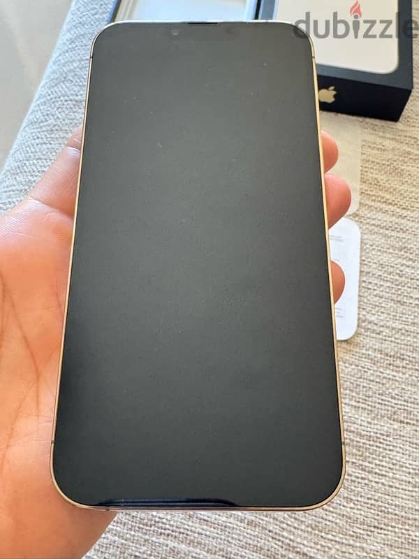 iphone 13 pro max 2