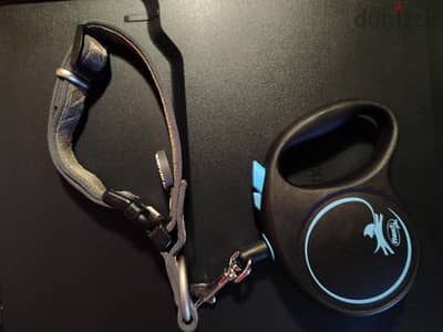 Flexi Dog Leash