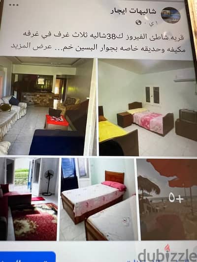 الساحل قريه شاطئ الفيروز ك 38شاله3خرف للايجار المصيف واجار معقول