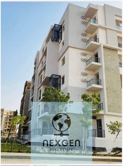 Apartment in Sheikh Zayed, area 130 square meters