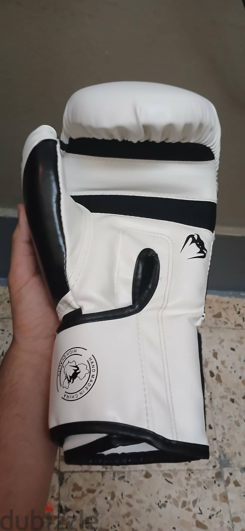 boxing gloves 1
