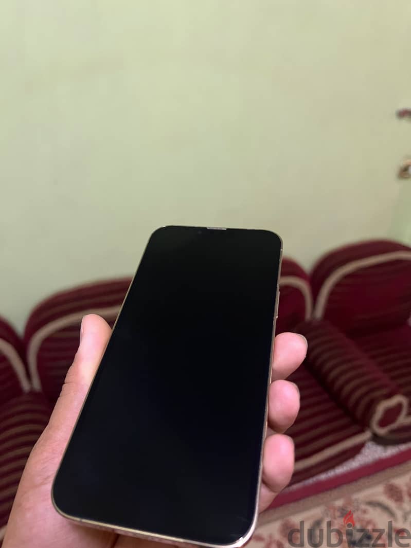 Apple - iPhone 13 Pro Max 1