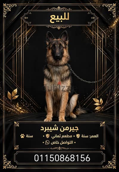 قابل للتفاوض