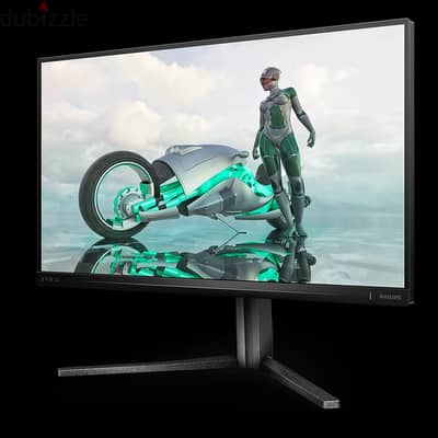 philips evnia 24.5 240hz