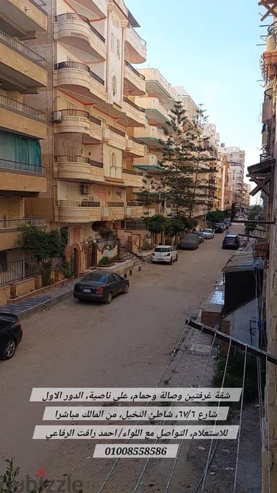 لقطة بشاطئ النخيل بالعفش