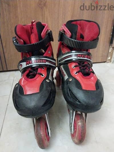 Skate