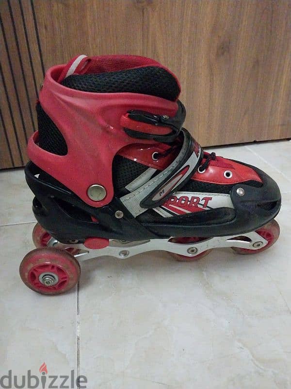 Skate 1