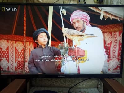 شاشه ماركة نوكيا ايجيبت والشاشة بالغلاف البلاستك بتاعالشركة